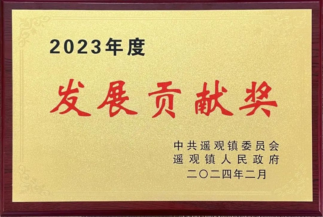奮躍而上踏征程 砥礪前行再揚(yáng)帆丨江蘇德勵(lì)達(dá)榮獲“發(fā)展貢獻(xiàn)獎(jiǎng)”&“優(yōu)秀企業(yè)家”